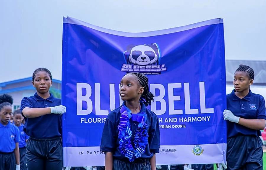 Bluebell